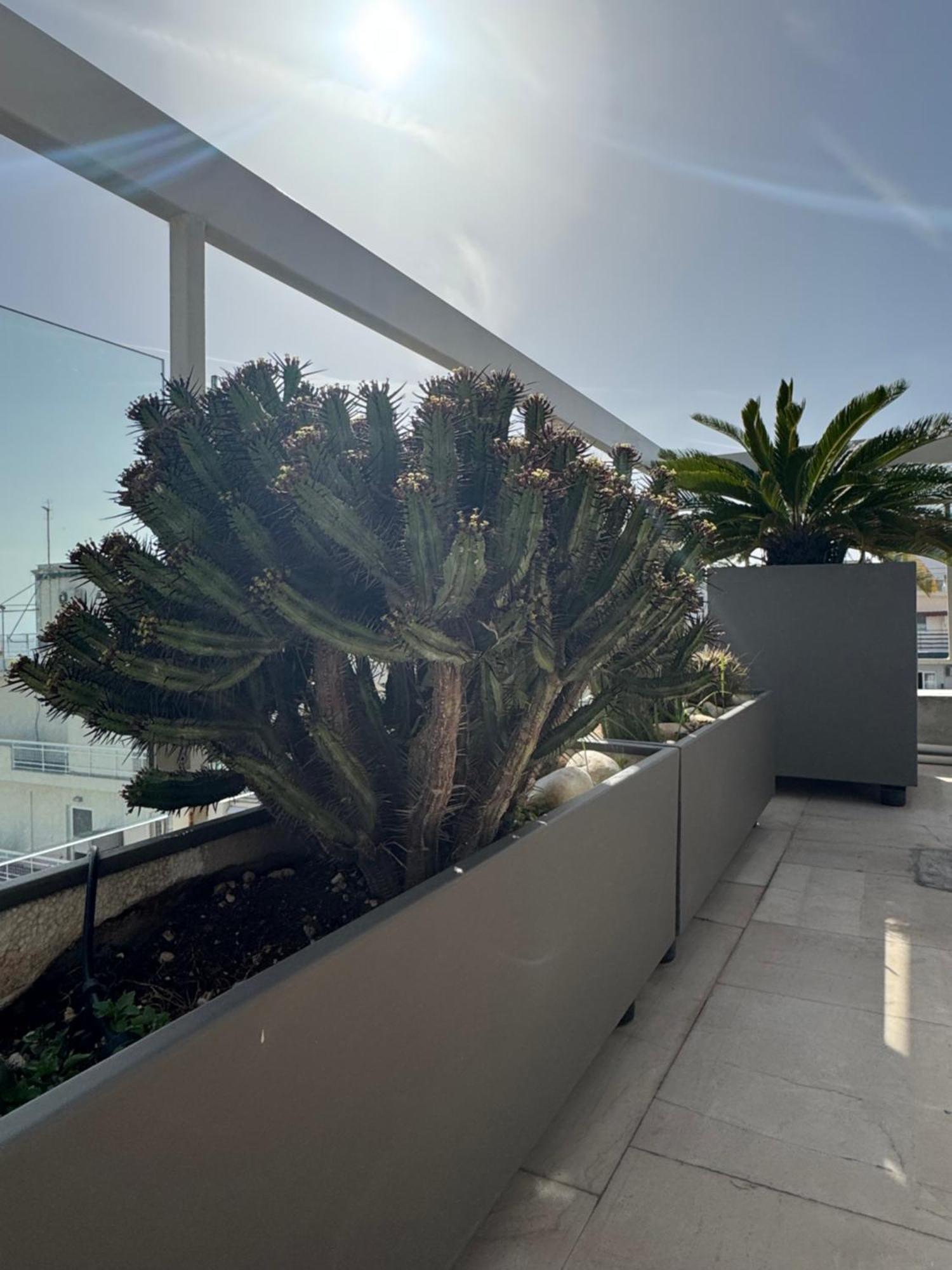 Appartement Sea Horizon Penthouse Flat à Athènes Extérieur photo